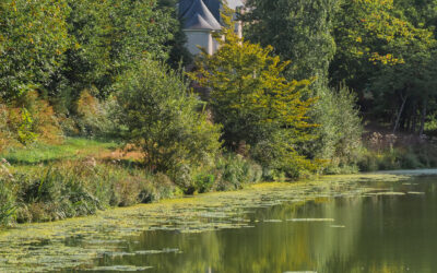 Reflet à la chapelle ND de Bon secours – Bégrolles en Mauges